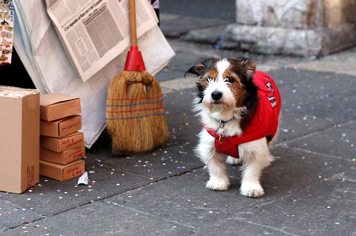 Review: Karneval im Betonbunker. Oasis live in Treviso.  