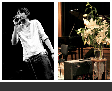 Das alte Schlachtross ganz kleinlaut