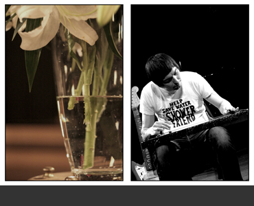 Das alte Schlachtross ganz kleinlaut