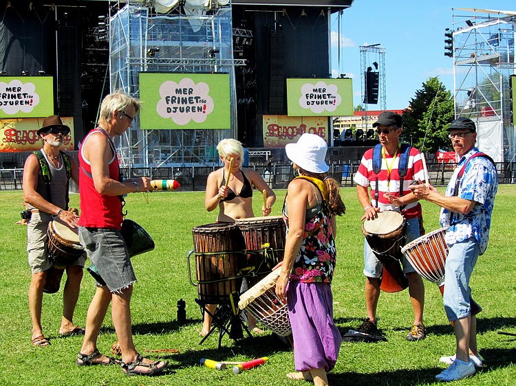 Review: PEACE AND LOVE FESTIVAL 2010. britishrock in Schweden  