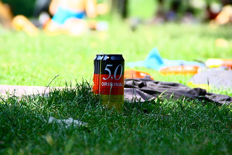 Review: SONNENROT FESTIVAL 2010
